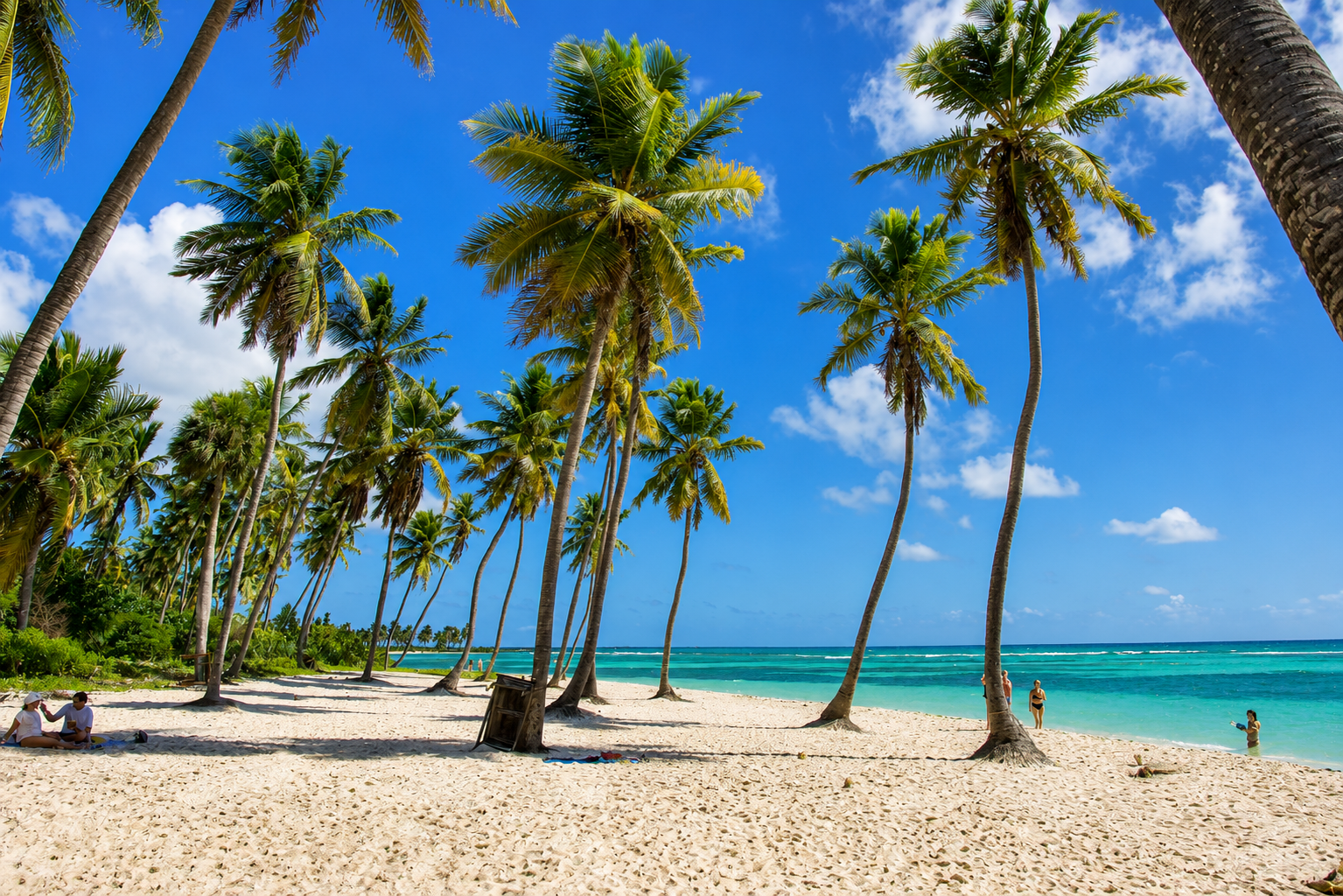 Saona Island Tour
